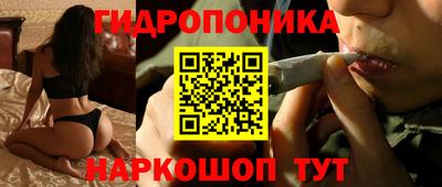 apvp Сланцы
