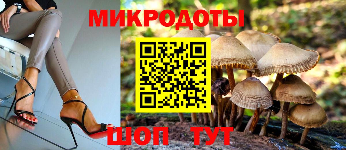 Белогорск  Галлюциногенные грибы Cubensis  Вход с VPN 
